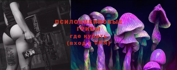 спайс Алексин