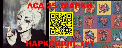 Альфа ПВП Обь