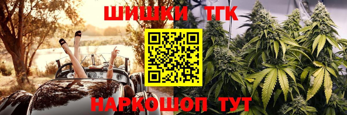 ГАШ Солнечногорск